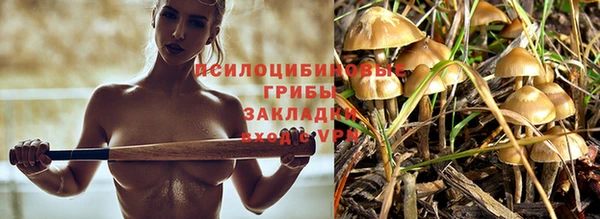 Альфа ПВП Баксан