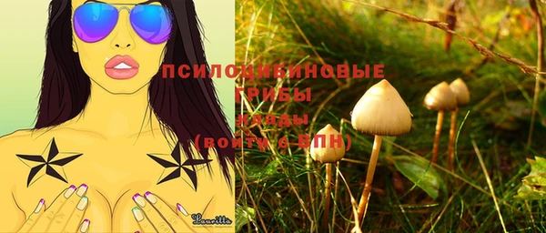 Альфа ПВП Баксан