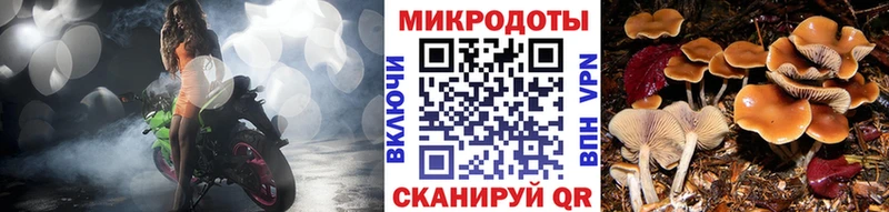 закладка  Называевск  KRAKEN зеркало  Галлюциногенные грибы Magic Shrooms 